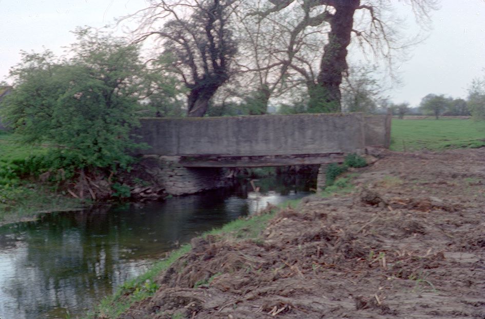 at_Brook_Farm