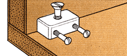Joint Illustration