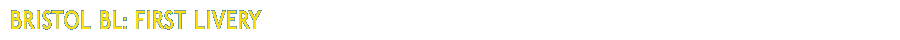 Bristol BL 1st Livery